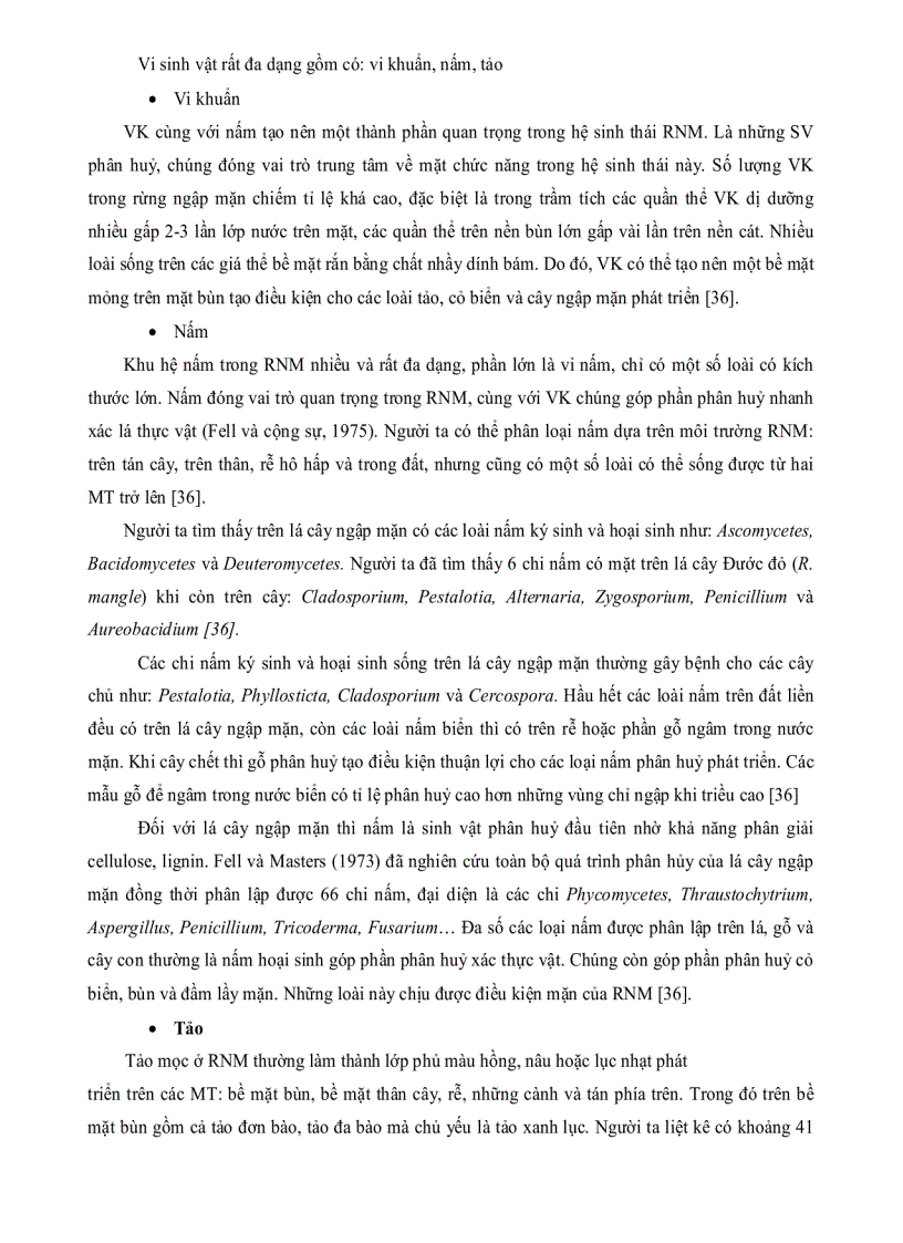 image for page Nghiên cứu thu nhận ENZYM AMYLASE một số chủng nấm sợi phân lập từ rừng ngập mặn Cần Giờ