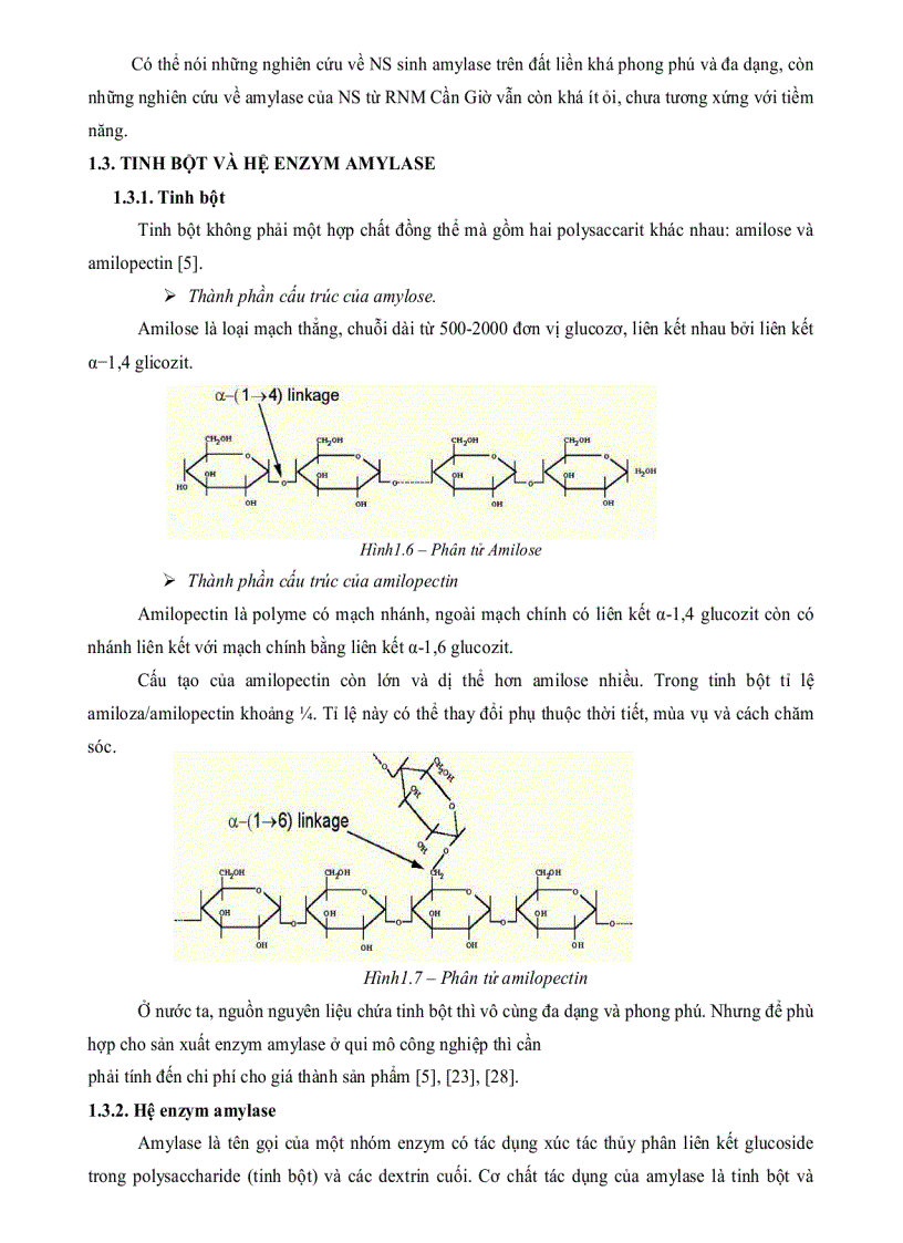 image for page Nghiên cứu thu nhận ENZYM AMYLASE một số chủng nấm sợi phân lập từ rừng ngập mặn Cần Giờ