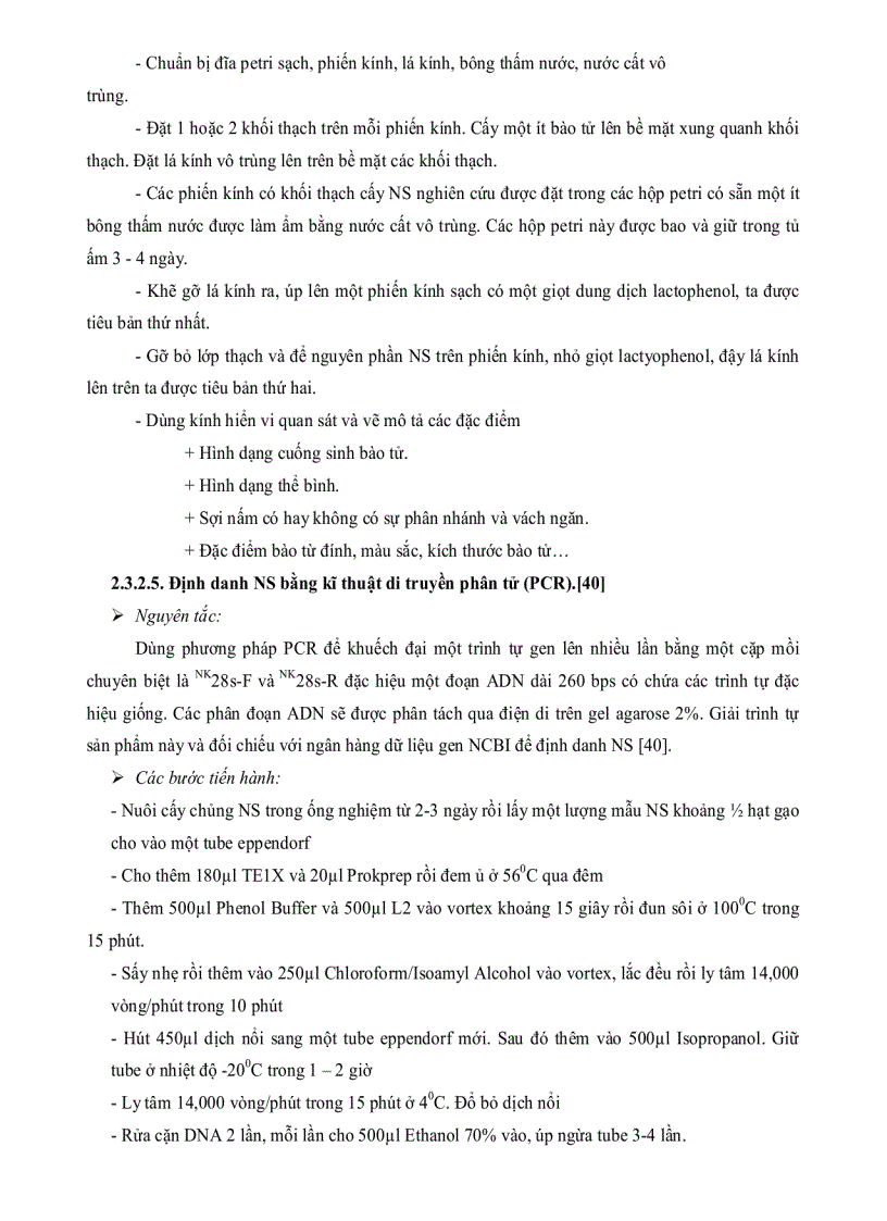image for page Nghiên cứu thu nhận ENZYM AMYLASE một số chủng nấm sợi phân lập từ rừng ngập mặn Cần Giờ