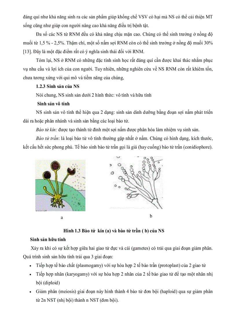 image for page Nghiên cứu khả năng sinh Enzym PROTEASE của một số chủng nấm sợi phân lập từ rừng ngập mặn Cần Giờ