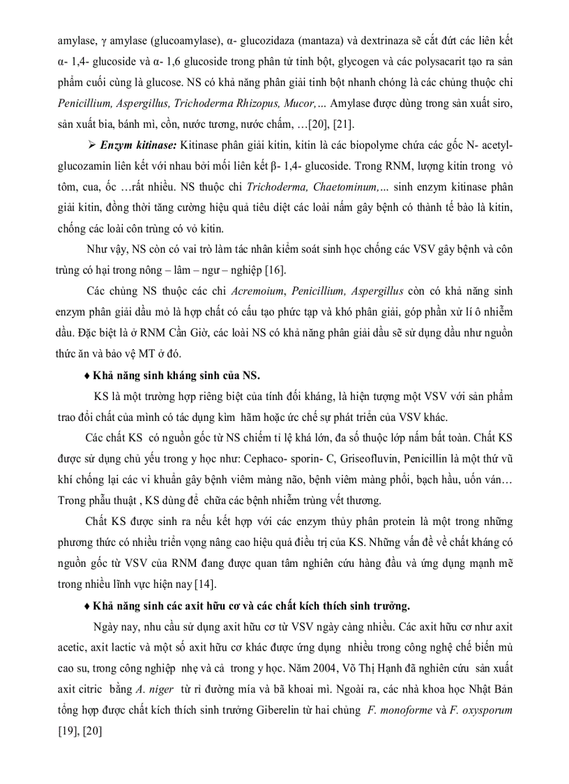 image for page Nghiên cứu khả năng sinh Enzym PROTEASE của một số chủng nấm sợi phân lập từ rừng ngập mặn Cần Giờ
