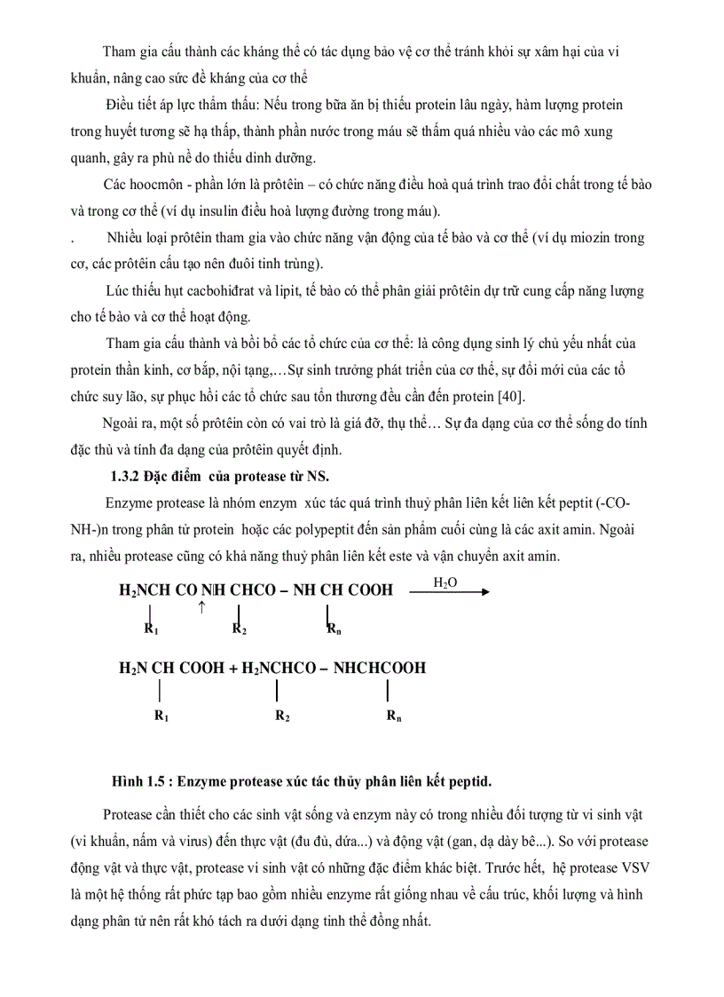image for page Nghiên cứu khả năng sinh Enzym PROTEASE của một số chủng nấm sợi phân lập từ rừng ngập mặn Cần Giờ
