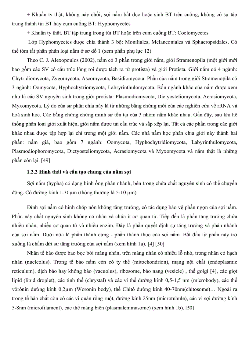 image for page Khảo sát đặc điểm sinh học một số nhóm nấm sợi từ rừng ngập mặn Cần Giờ TP Hồ Chí Minh