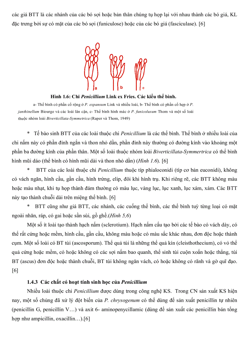 image for page Khảo sát đặc điểm sinh học một số nhóm nấm sợi từ rừng ngập mặn Cần Giờ TP Hồ Chí Minh