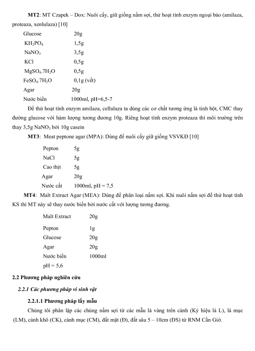 image for page Khảo sát đặc điểm sinh học một số nhóm nấm sợi từ rừng ngập mặn Cần Giờ TP Hồ Chí Minh