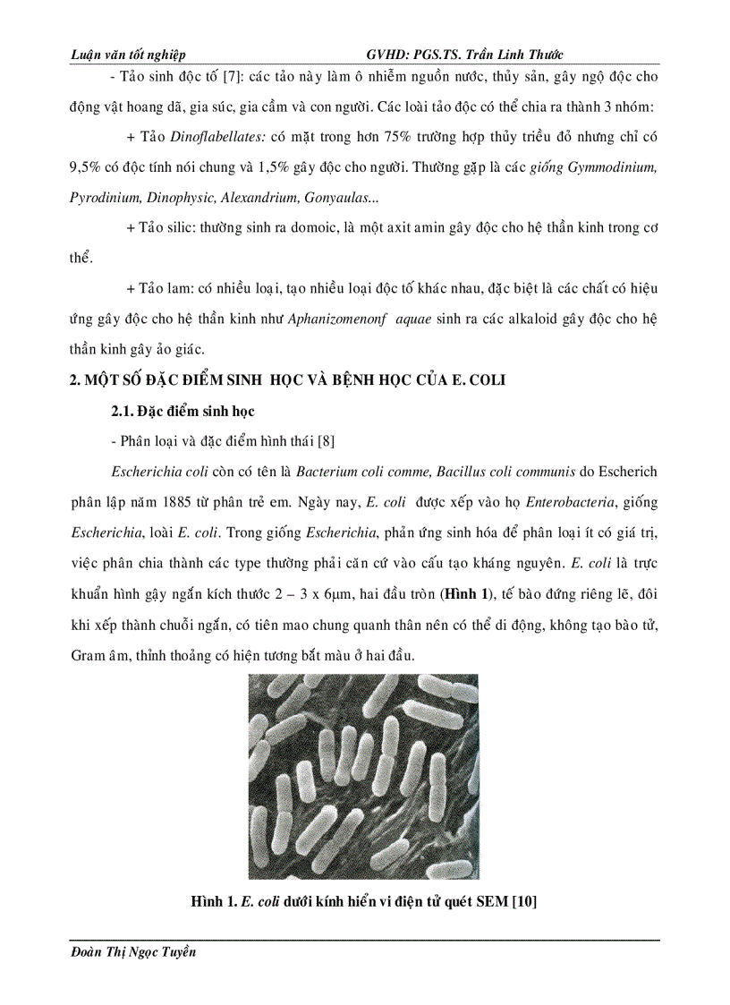 image for page Xây dựng quy trình phát hiện ESCHERICHIA COLI trong thực phẩm bằng phương pháp PCR POLYMERASE CHAIN REACTION và thử nghiệm ứng dụng