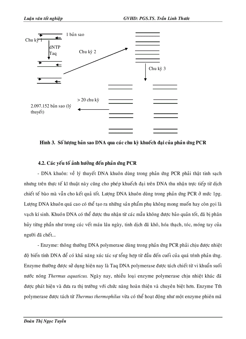 image for page Xây dựng quy trình phát hiện ESCHERICHIA COLI trong thực phẩm bằng phương pháp PCR POLYMERASE CHAIN REACTION và thử nghiệm ứng dụng