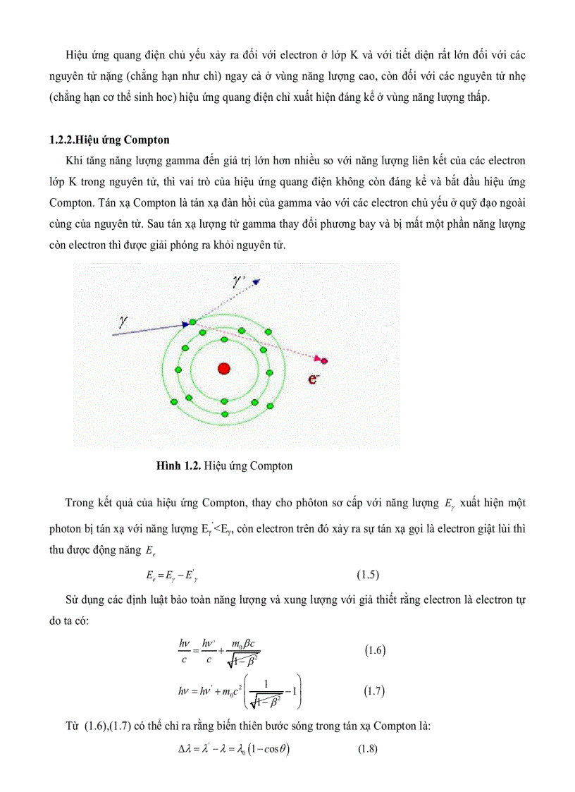 image for page Tính toán phân bố liều trong thùng hàng chiếu xạ và xây dựng phần mềm xác định chế độ chiếu xạ trên thiết bị SVST Co 60 B