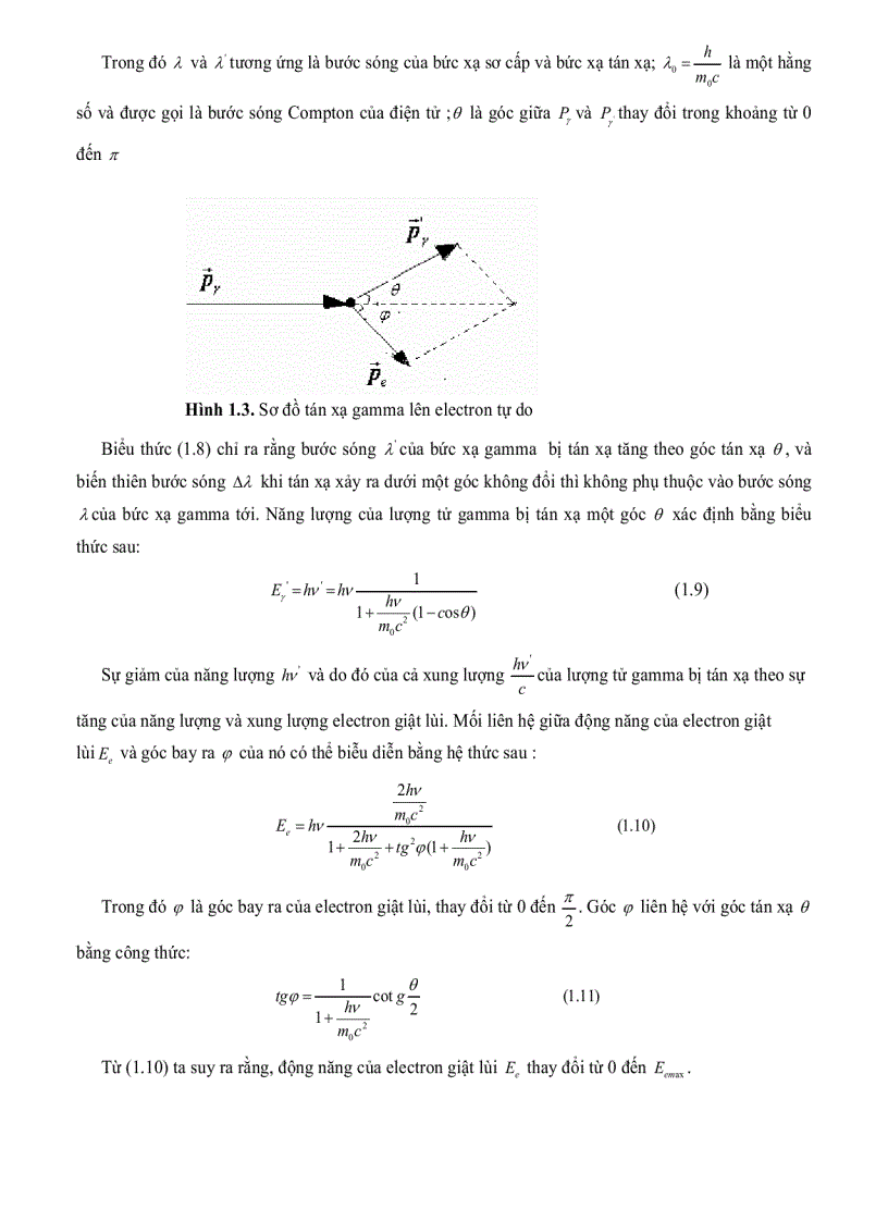 image for page Tính toán phân bố liều trong thùng hàng chiếu xạ và xây dựng phần mềm xác định chế độ chiếu xạ trên thiết bị SVST Co 60 B