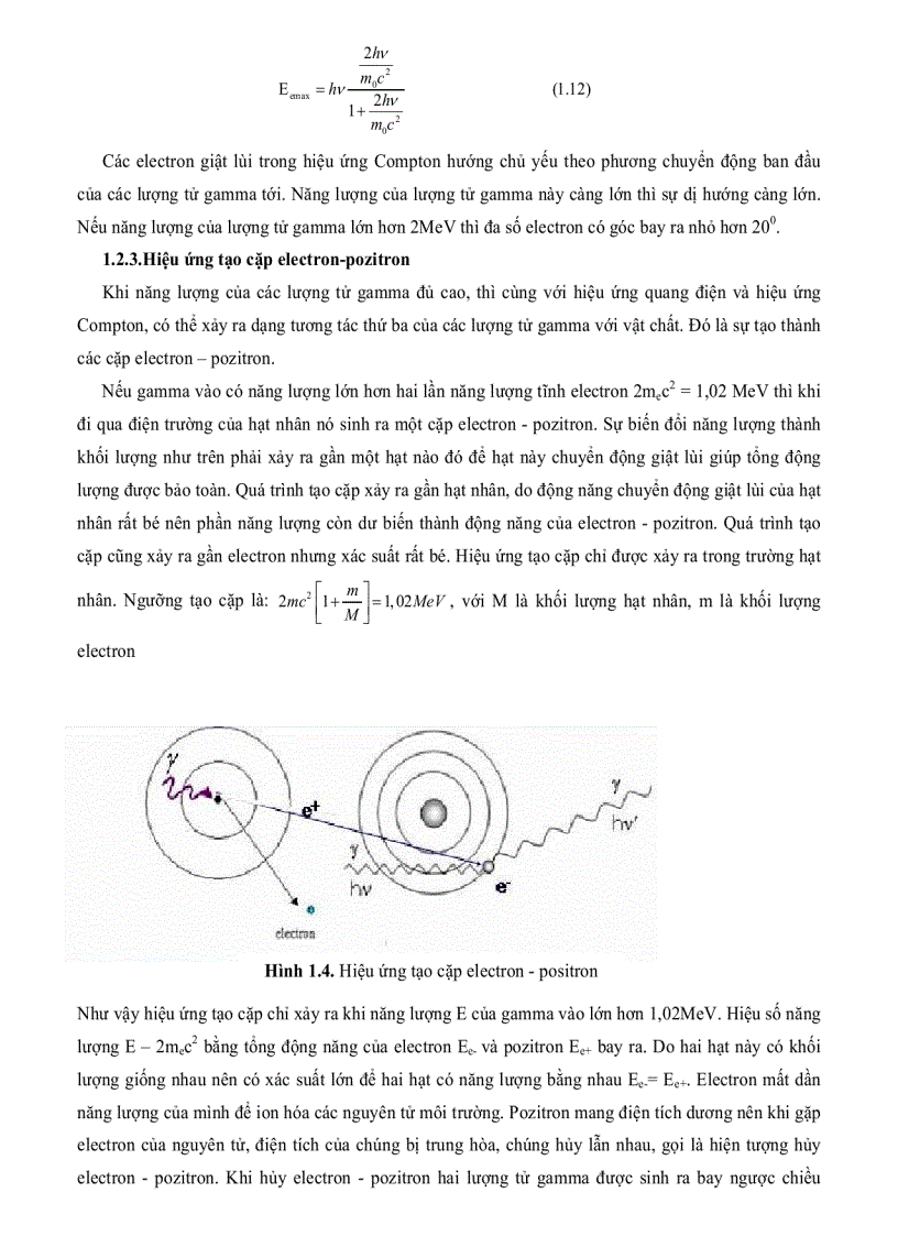 image for page Tính toán phân bố liều trong thùng hàng chiếu xạ và xây dựng phần mềm xác định chế độ chiếu xạ trên thiết bị SVST Co 60 B