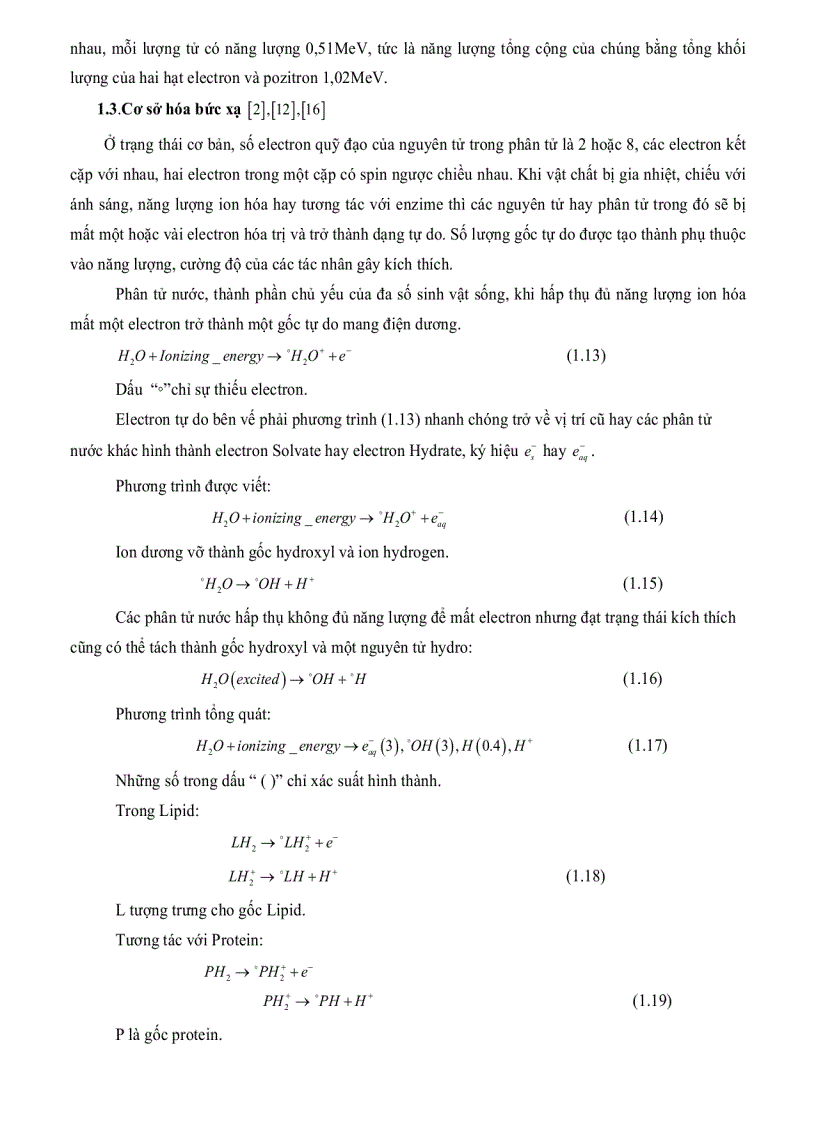 image for page Tính toán phân bố liều trong thùng hàng chiếu xạ và xây dựng phần mềm xác định chế độ chiếu xạ trên thiết bị SVST Co 60 B