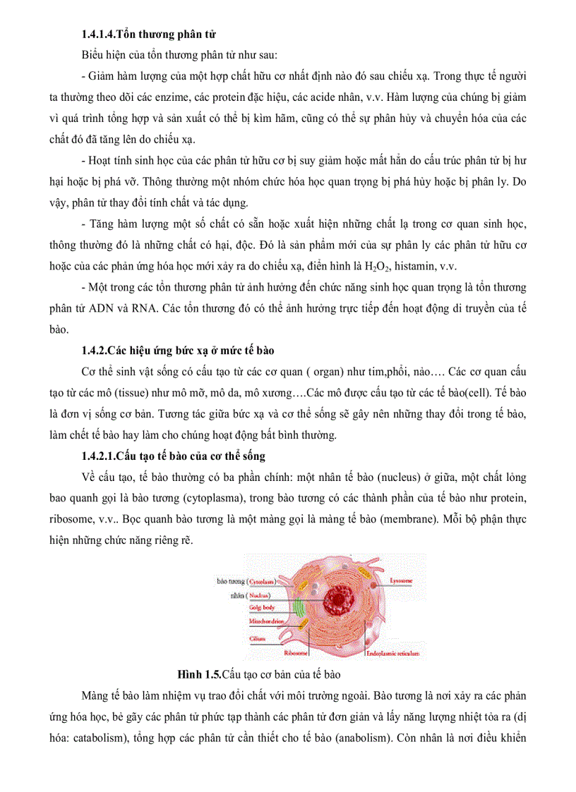 image for page Tính toán phân bố liều trong thùng hàng chiếu xạ và xây dựng phần mềm xác định chế độ chiếu xạ trên thiết bị SVST Co 60 B