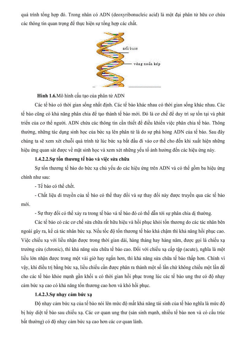 image for page Tính toán phân bố liều trong thùng hàng chiếu xạ và xây dựng phần mềm xác định chế độ chiếu xạ trên thiết bị SVST Co 60 B