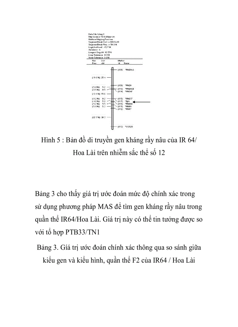 image for page Thiết lập bản đồ gen rầy nâu trên quần thể f2 cây lúa oryza sativa