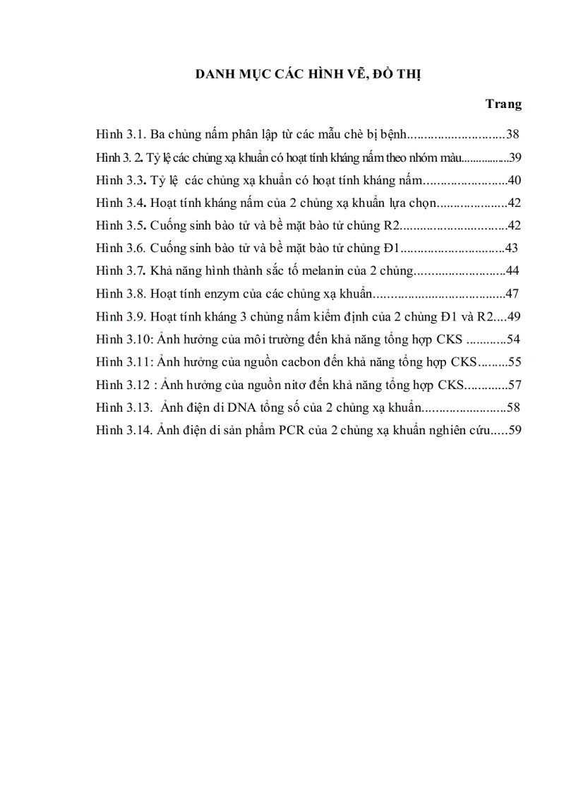 image for page Nghiên cứu xạ khuẩn thuộc chi streptomyces sinh chất kháng sinh chống nấm gây bệnh trên cây chè ở thái nguyên