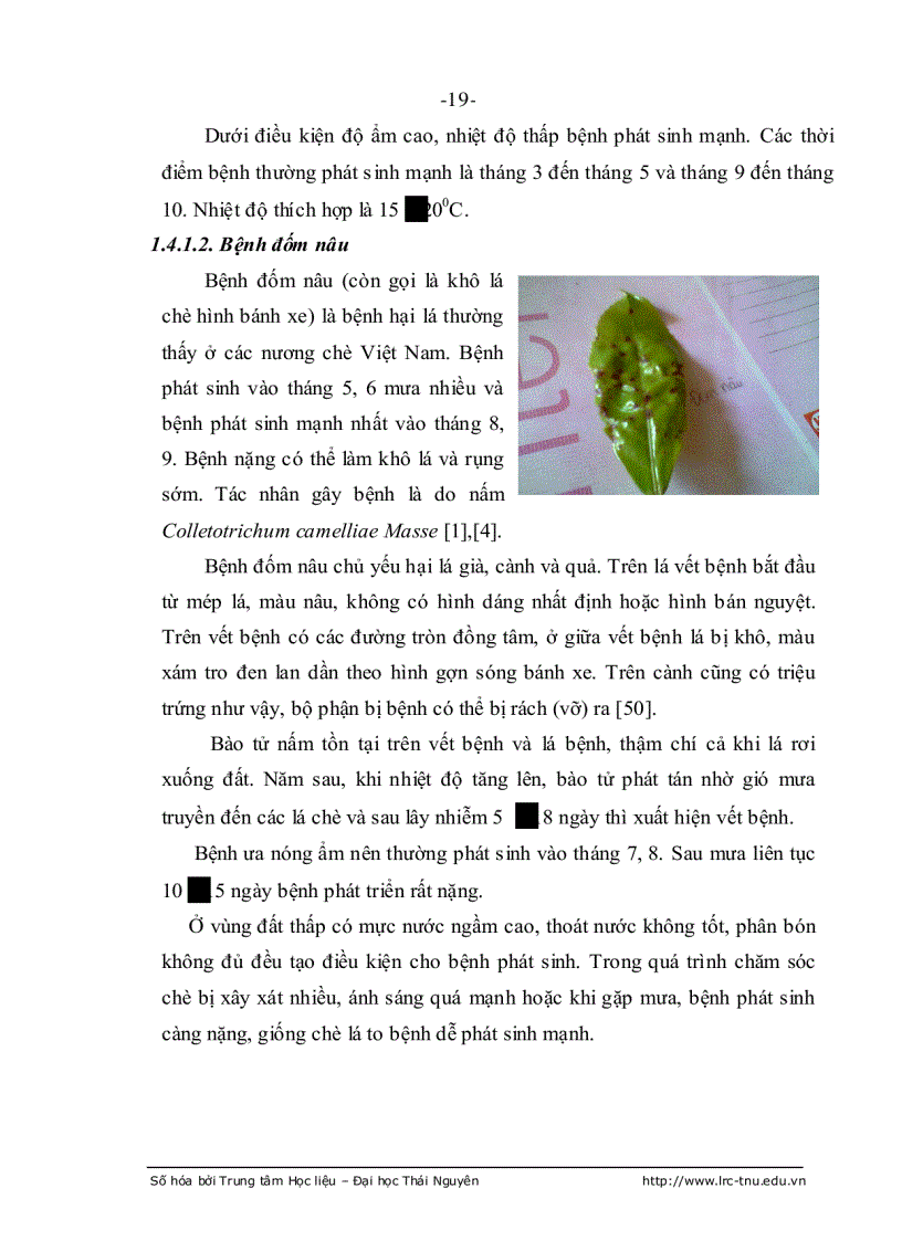 image for page Nghiên cứu xạ khuẩn thuộc chi streptomyces sinh chất kháng sinh chống nấm gây bệnh trên cây chè ở thái nguyên