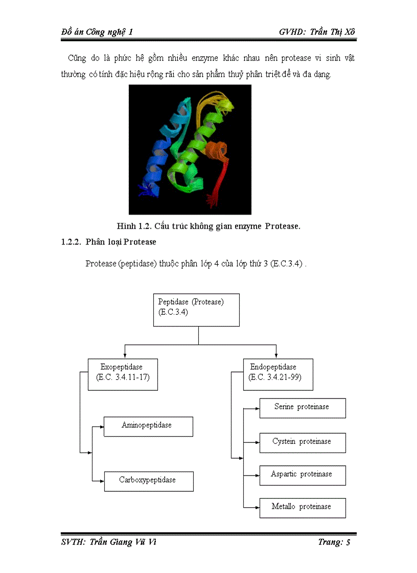 Sự phân bố thu nhận và ứng dụng enzyme Protease