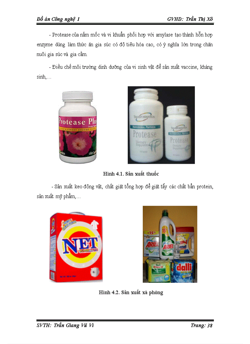 image for page Sự phân bố thu nhận và ứng dụng enzyme Protease