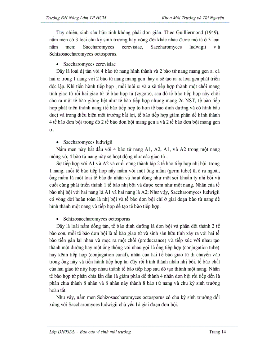 image for page Ứng dụng vi sinh vật trong sản xuất bánh mì