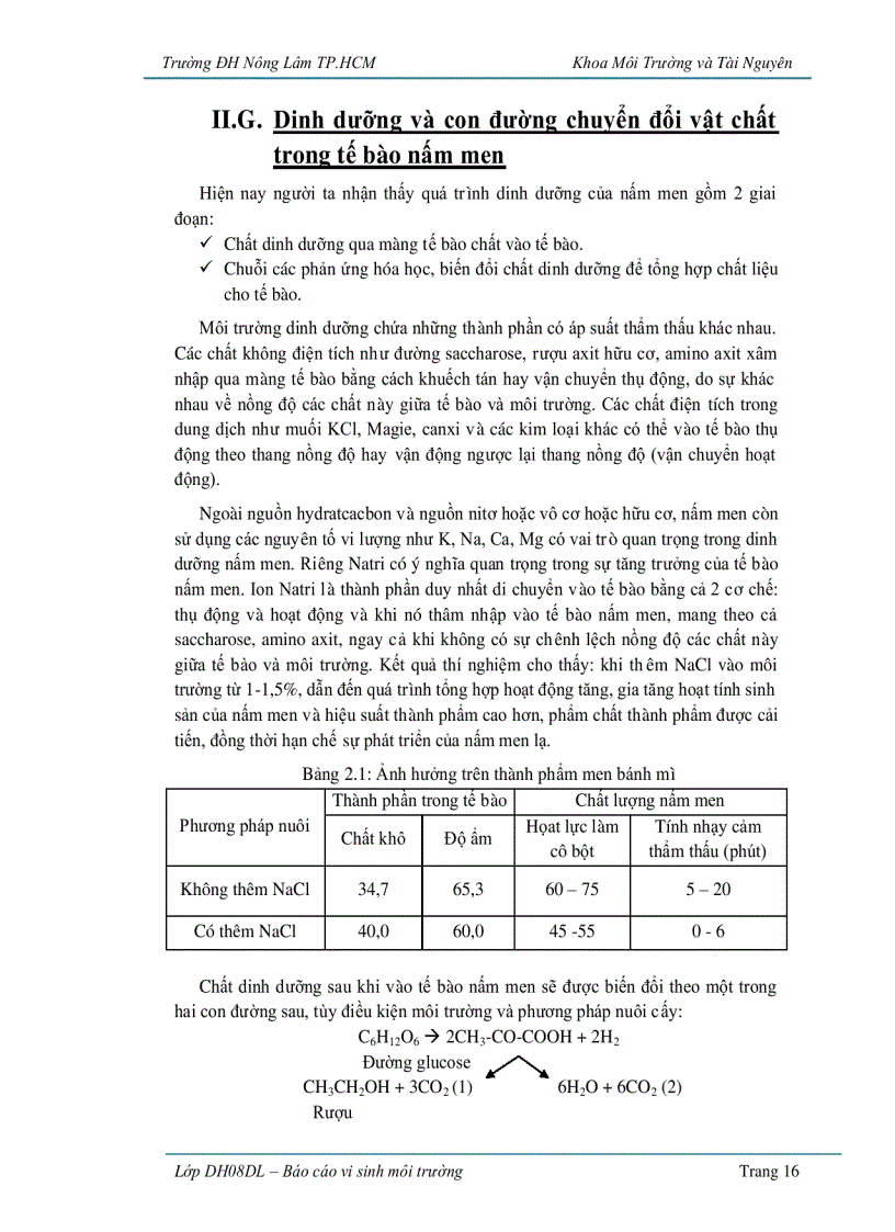 image for page Ứng dụng vi sinh vật trong sản xuất bánh mì