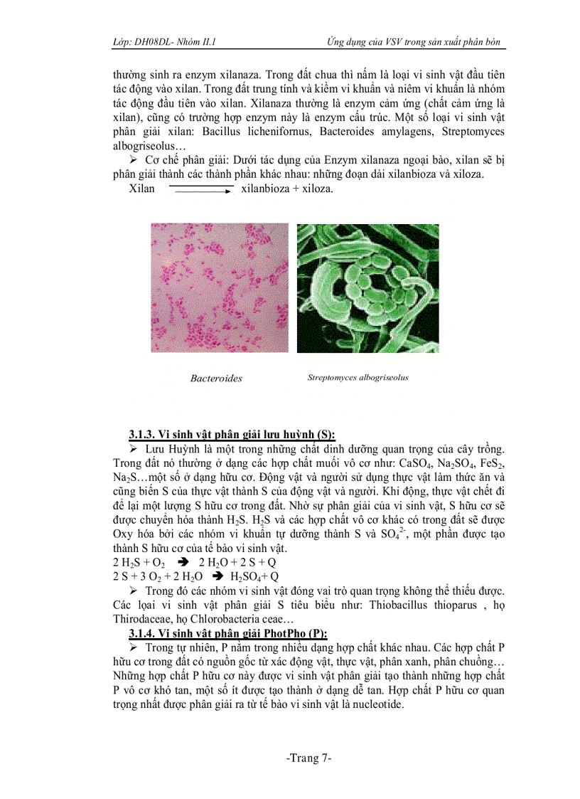 image for page Ứng dụng vi sinh vật trong sản xuất phân bón vi sinh