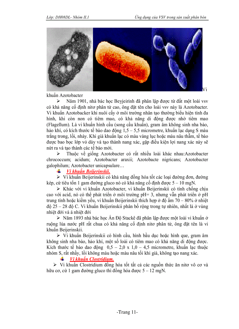 image for page Ứng dụng vi sinh vật trong sản xuất phân bón vi sinh