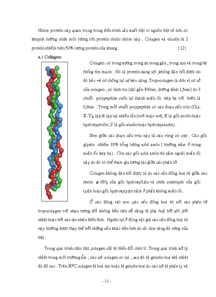 image for page Tổng quan về protein thịt