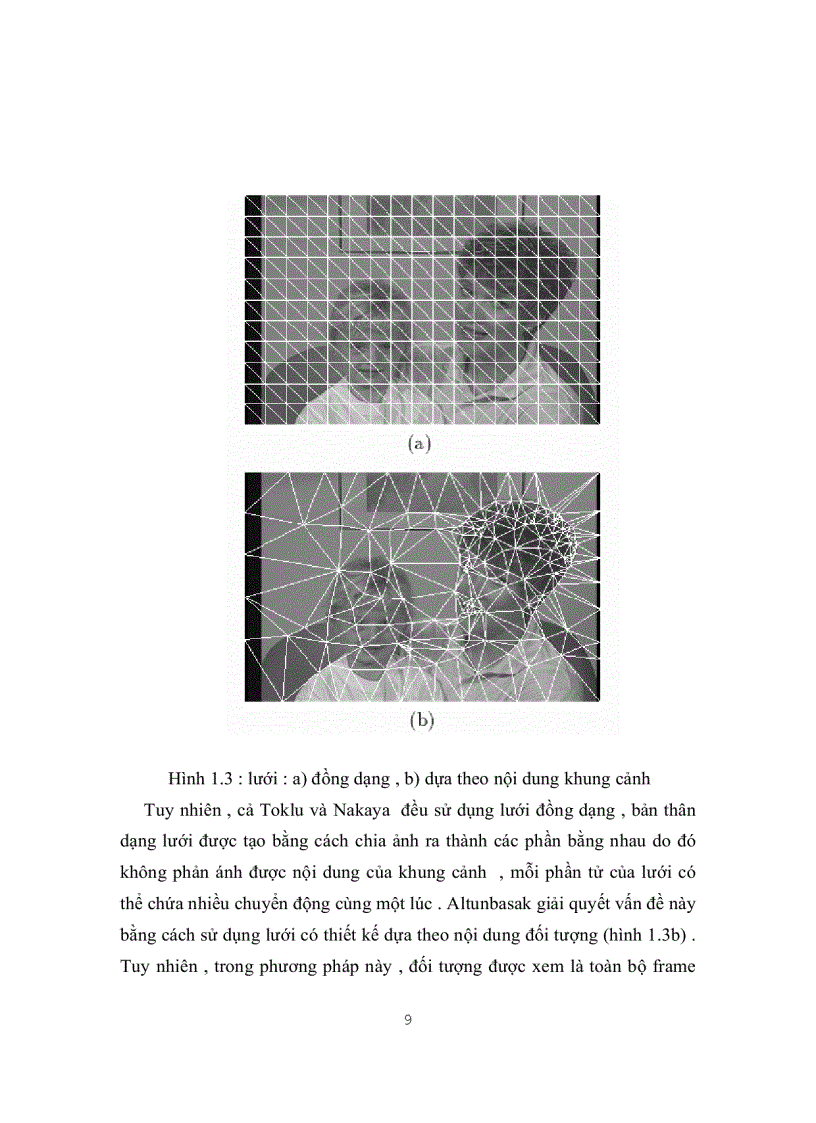 image for page Sử dụng lưới hai chiều để theo vết đối tượng trong Video