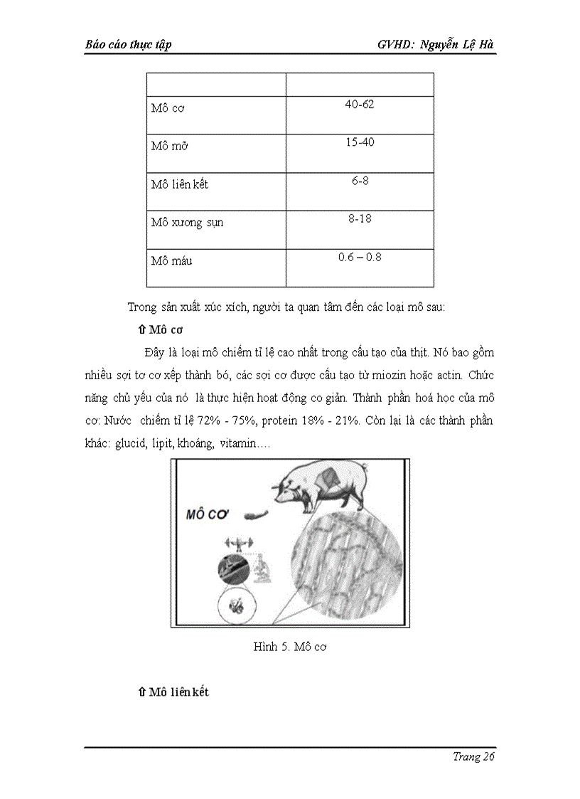 image for page Quy trình sản xuất xúc xích xông khói