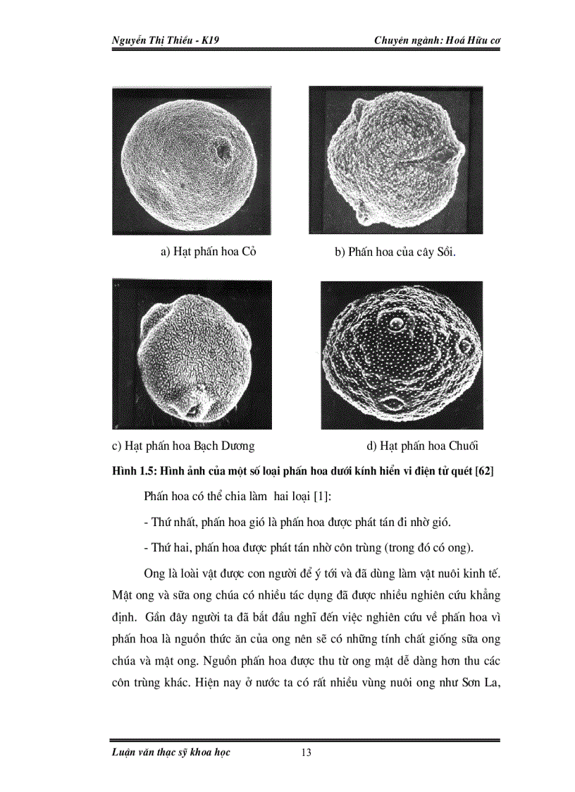 image for page Nghiên cứu thành phần hoá học và hoạt tính sinh học của sữa ong chúa và phấn hoa