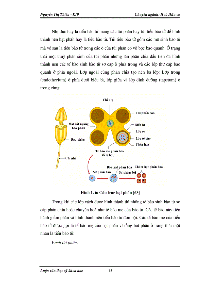 image for page Nghiên cứu thành phần hoá học và hoạt tính sinh học của sữa ong chúa và phấn hoa