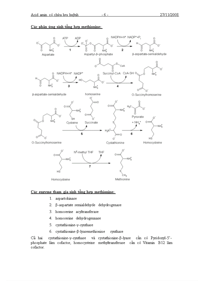 Tìm hiểu về các acid amin có chứa lưu huỳnh