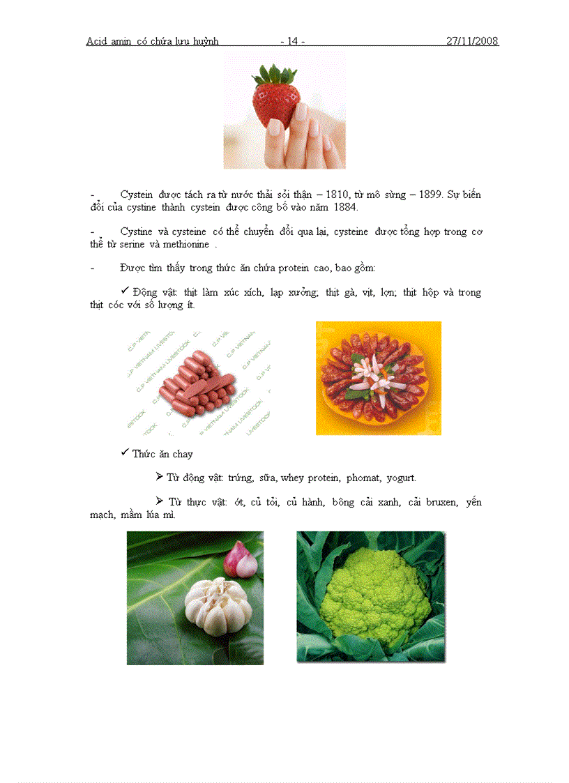 image for page Tìm hiểu về các acid amin có chứa lưu huỳnh