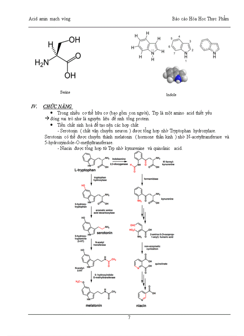 Tổng quan về các acid amin mạch vòng