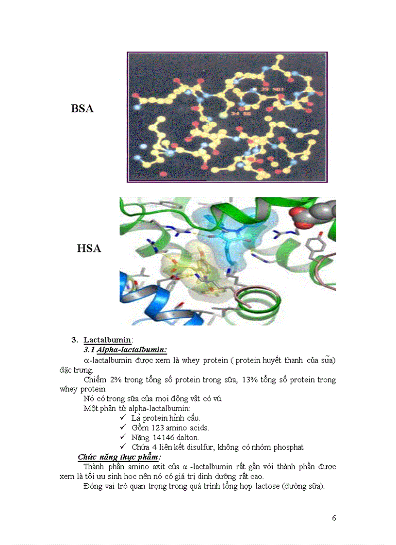 image for page Tìm hiểu về albumin tính chất và vai trò