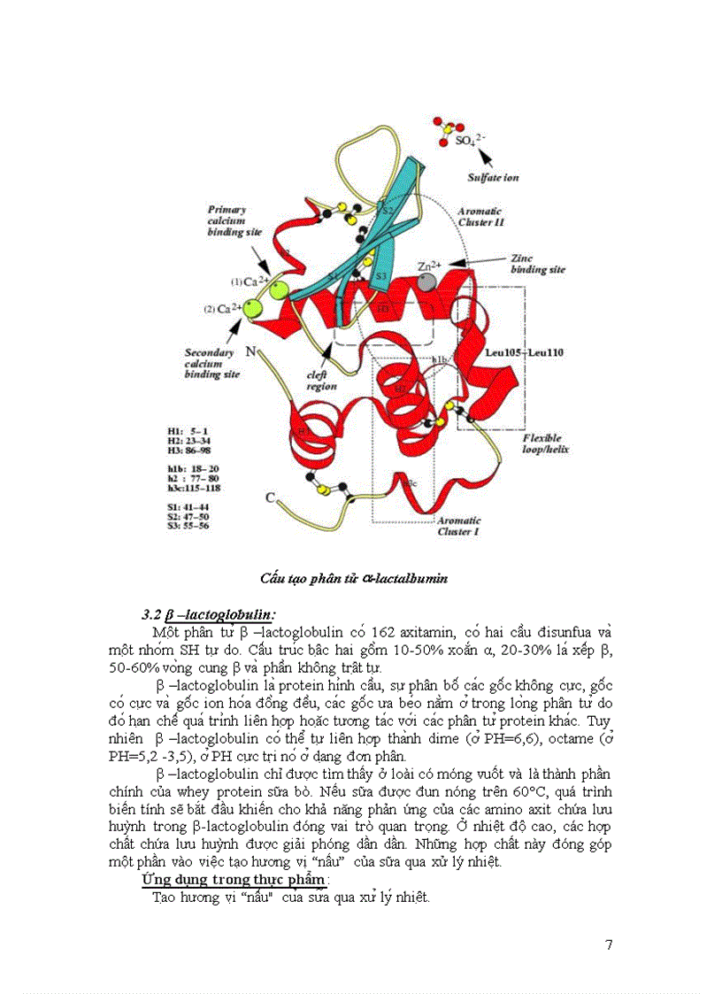 image for page Tìm hiểu về albumin tính chất và vai trò