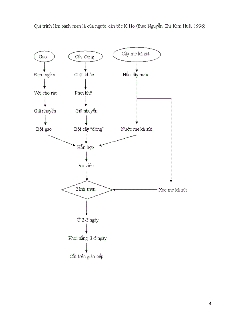 image for page 12 Hệ vi sinh vật lên men rượu cần