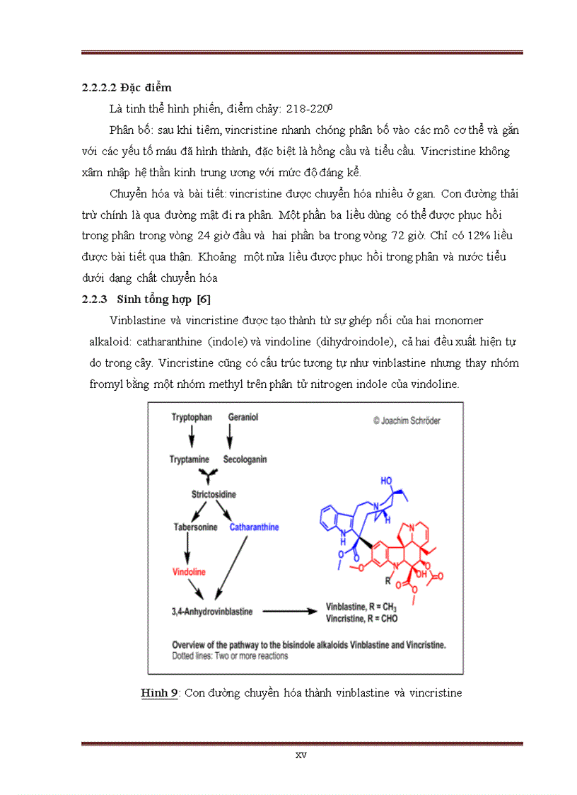 image for page CÂY DỪA CẠN Catharanthus roseus VÀ NHÓM HỢP CHẤT VINCA ALKALOID