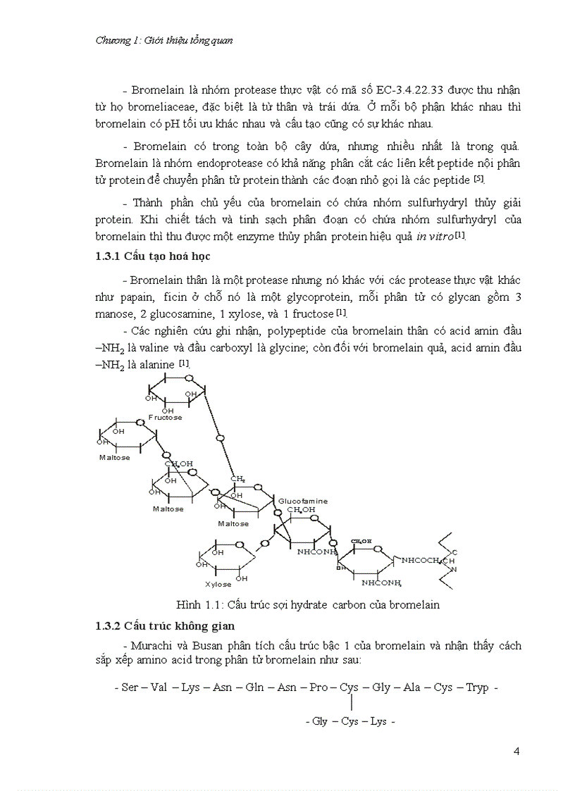 image for page Tìm hiểu về Bromelain enzyme chiết suất và ứng dụng