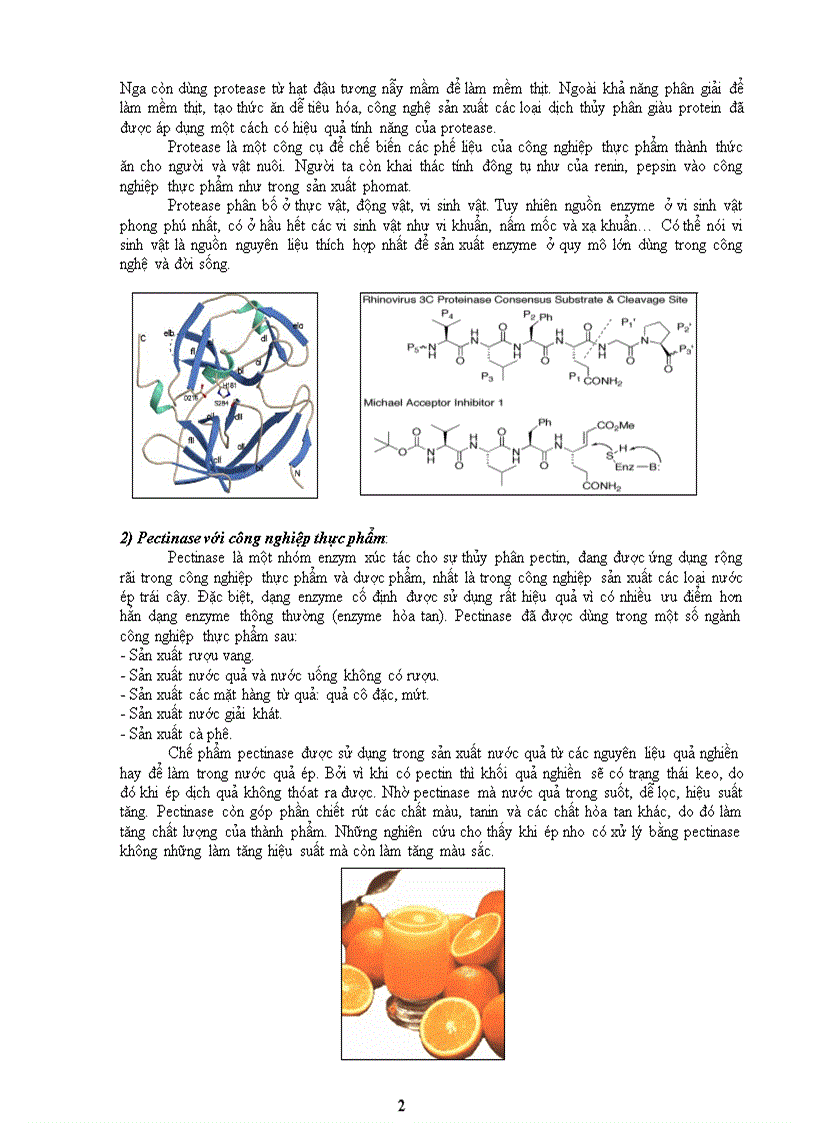 Tổng quan về Enzyme công nghiệp