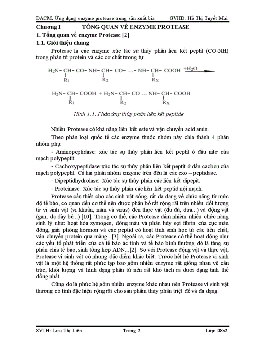 image for page Ứng dụng của enzyme protease trong sản xuất bia