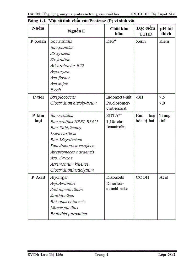 Ứng dụng của enzyme protease trong sản xuất bia