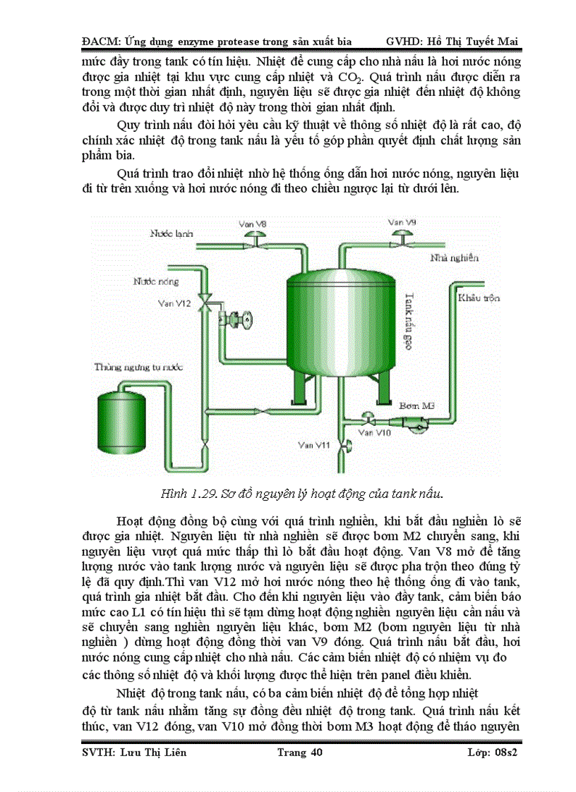 image for page Ứng dụng của enzyme protease trong sản xuất bia