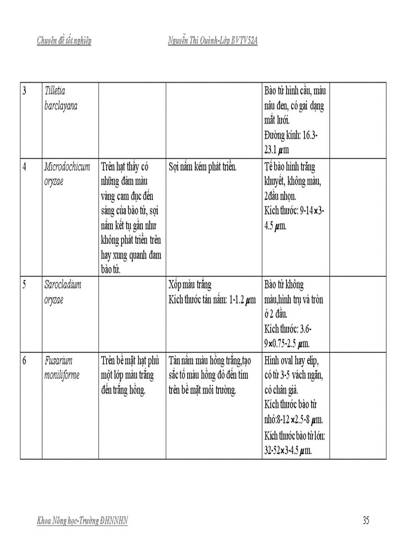 image for page Nghiên cứu ảnh hưởng của chất kích kháng phòng trừ nấm gây bệnh ha i ha t giô ng lu a