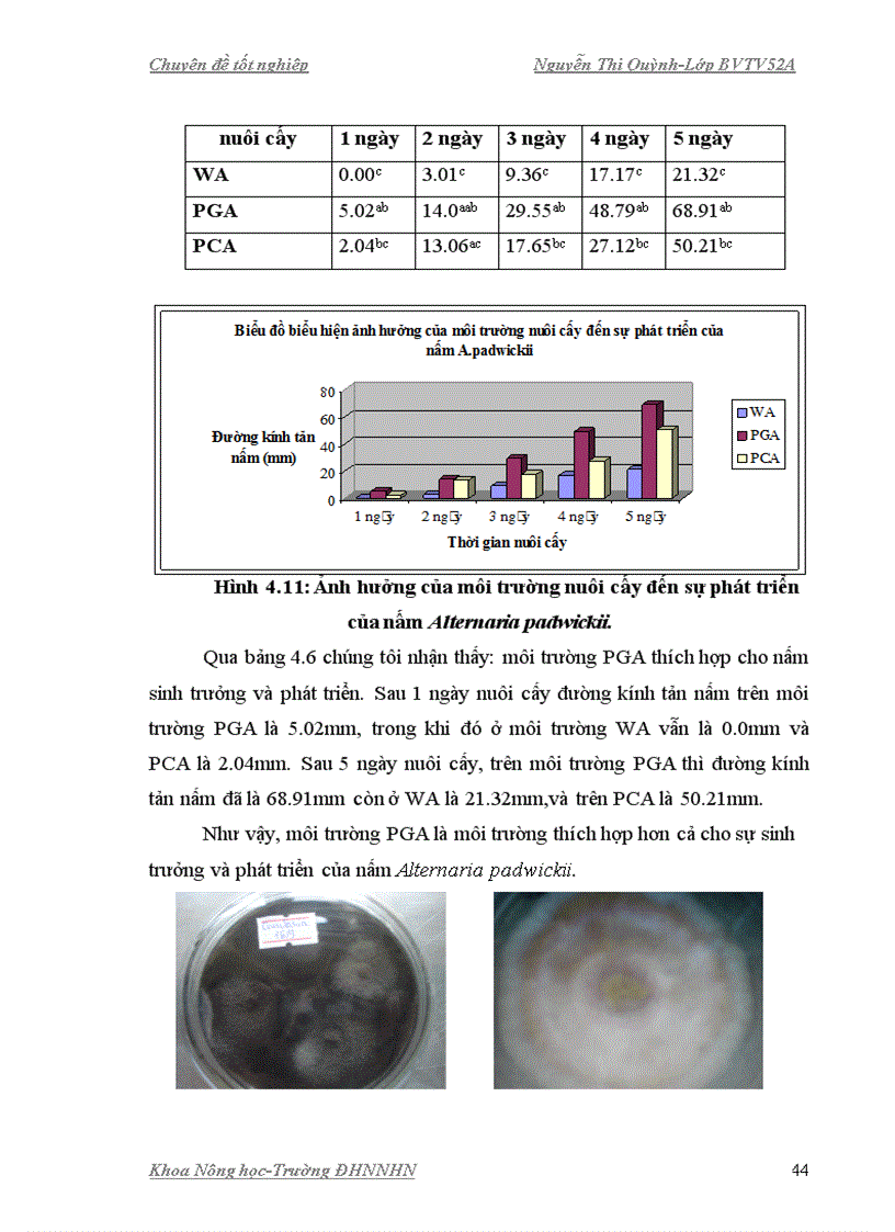 image for page Nghiên cứu ảnh hưởng của chất kích kháng phòng trừ nấm gây bệnh ha i ha t giô ng lu a