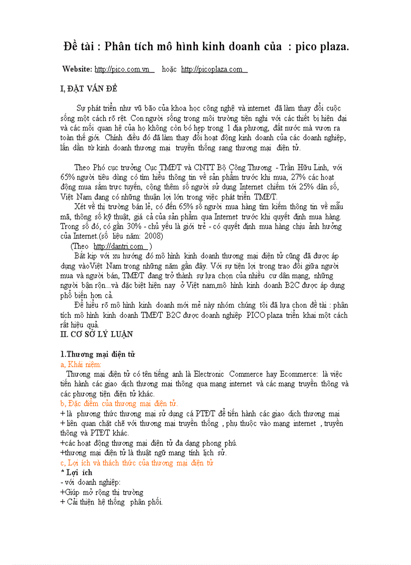 image for page Phân tích mô hình kinh doanh của pico plaza