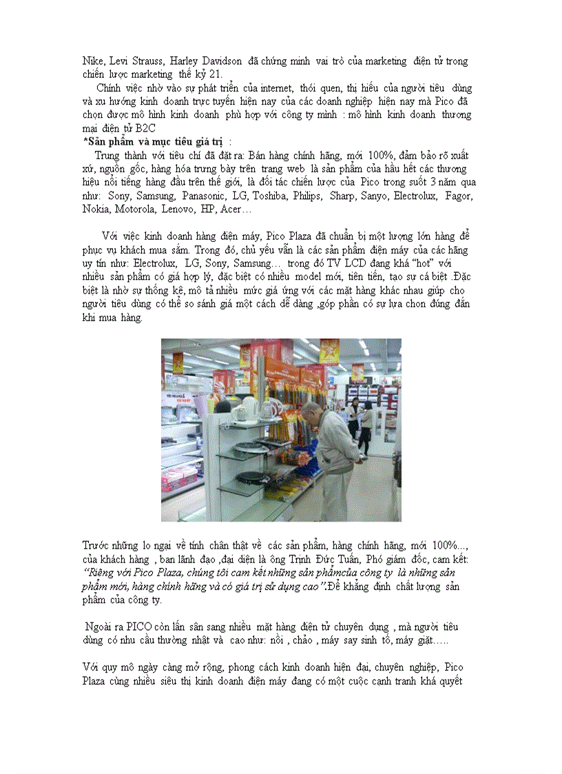 image for page Phân tích mô hình kinh doanh của pico plaza