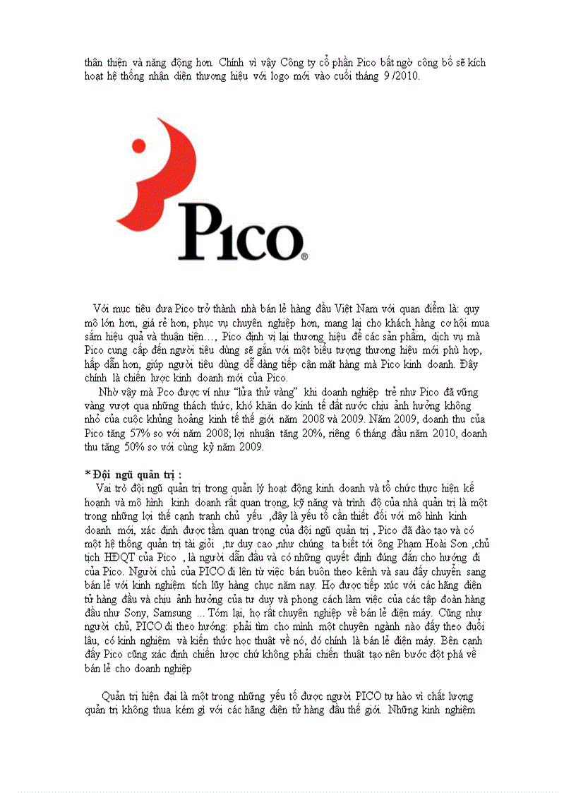 image for page Phân tích mô hình kinh doanh của pico plaza