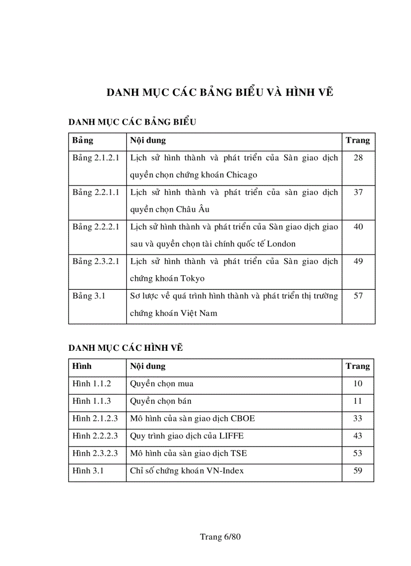 image for page Quyền chọn chứng khoán và việc áp dụng quyền chọn chứng khoán vào thị trường chứng khoán việt nam