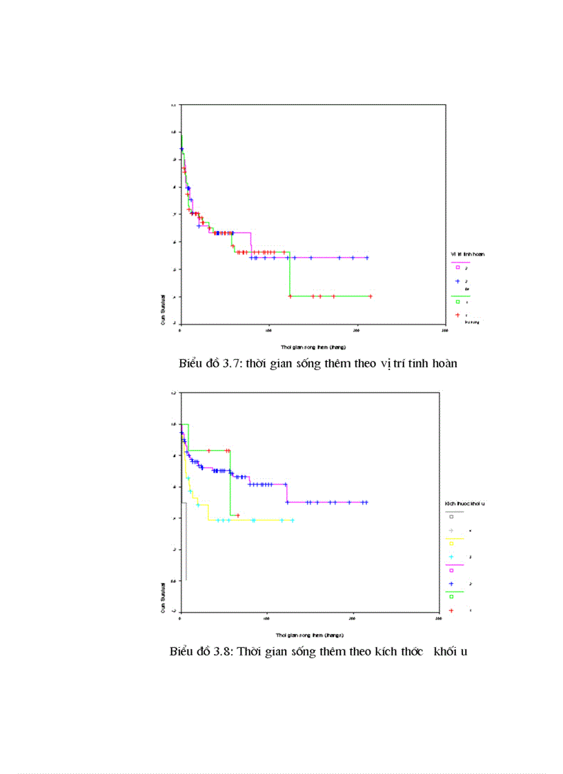 image for page Kết quả nghiên cứu về Đặc điểm lâm sàng của ung thư tinh hoàn